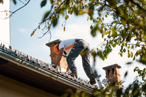 Best Roof Gutter Cleaning  in Dorneyville, PA