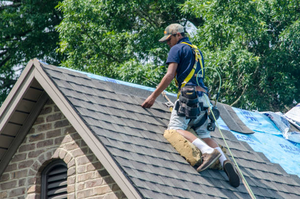 Best Storm Damage Roof Repair  in Dorneyville, PA