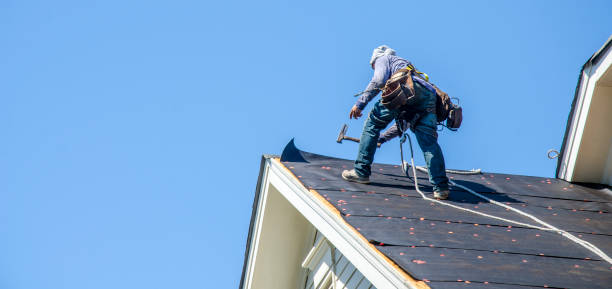 Best Roof Repair Services  in Dorneyville, PA